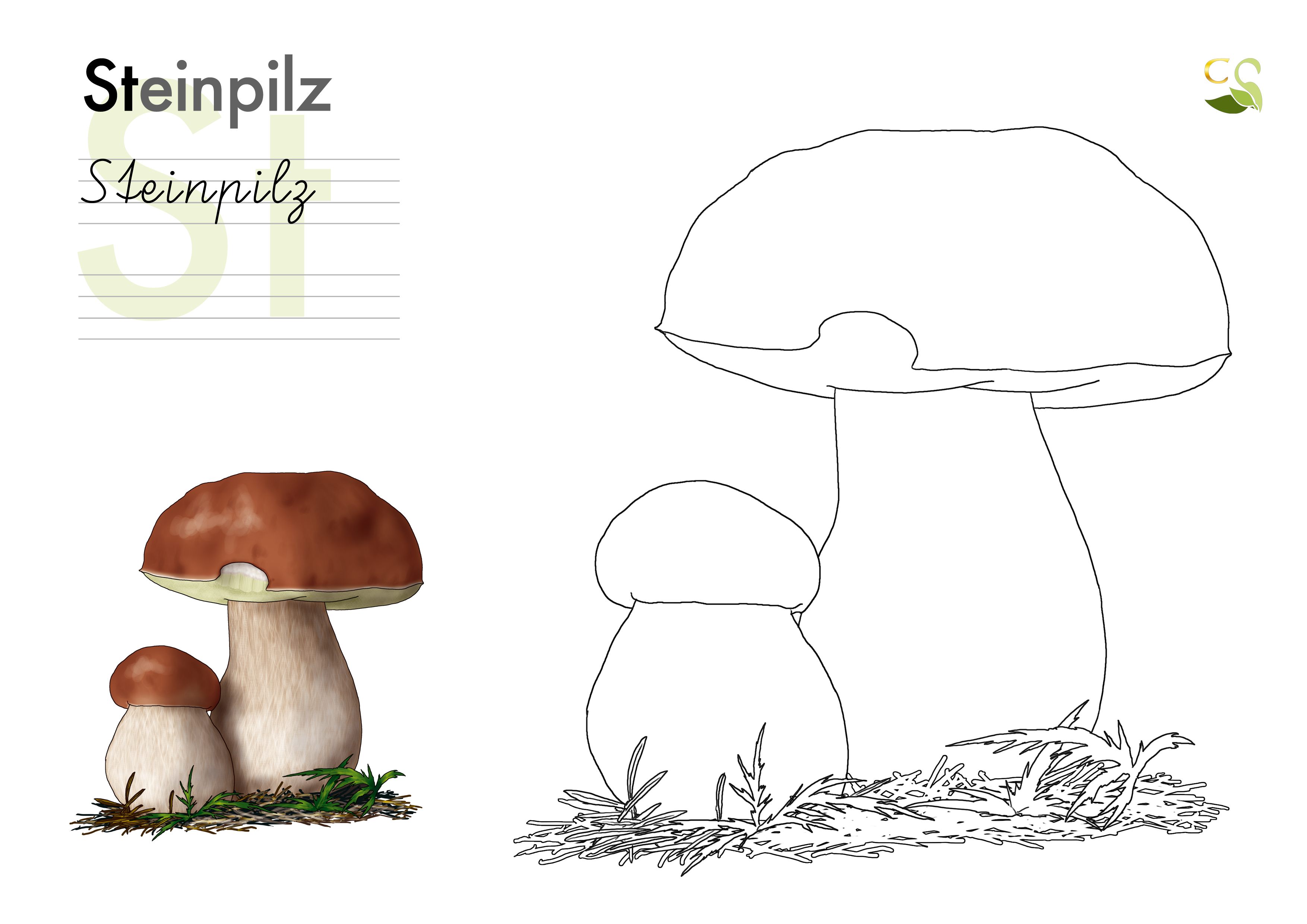  Ausmalbilder 16.30. April 2020 Cygnea Wohnideen für